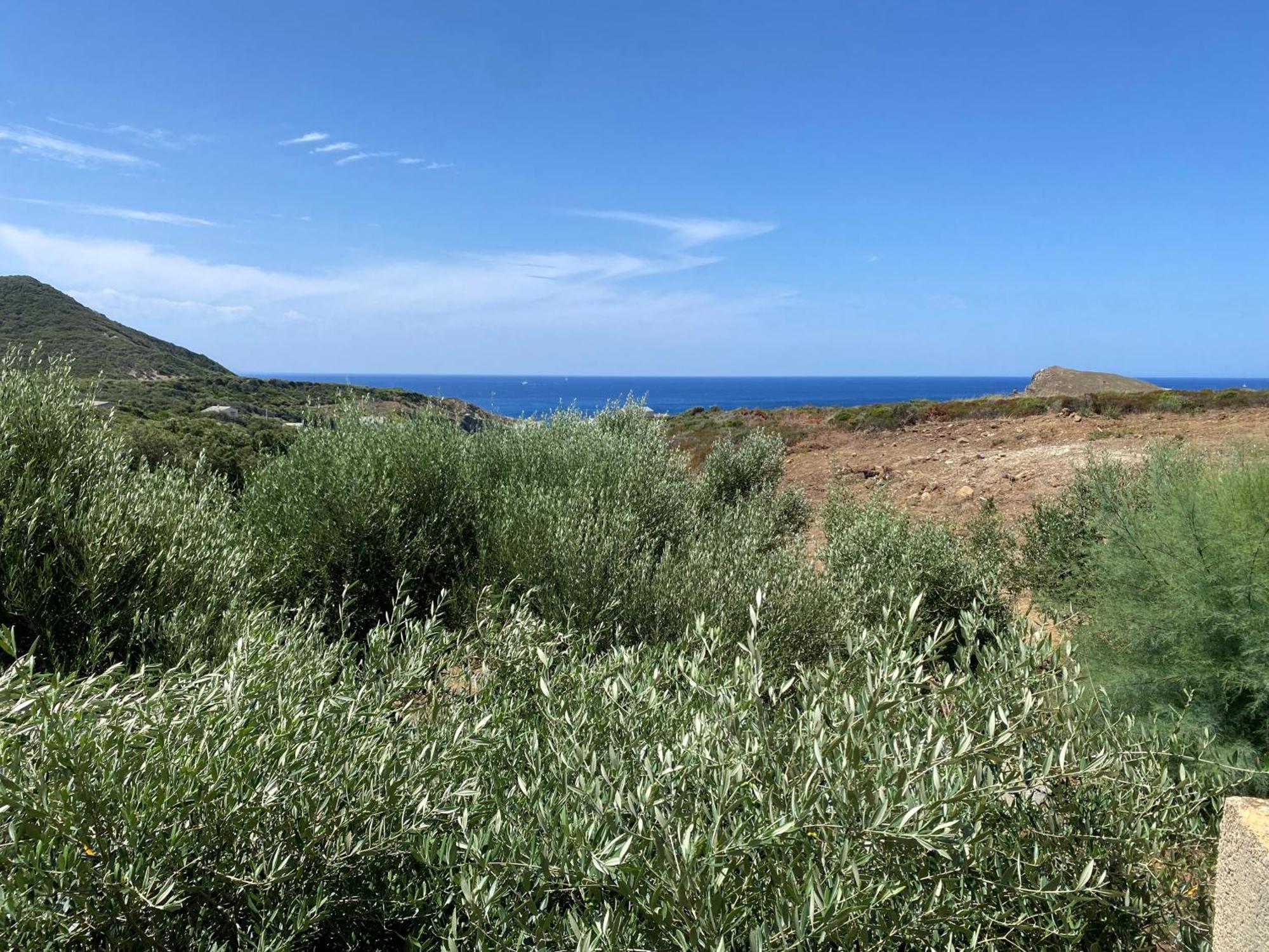 Residences Anna Centuri Εξωτερικό φωτογραφία
